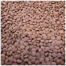 Masar Sabat Special Mote 250g Pack